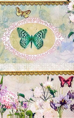 Butterflies 2 014