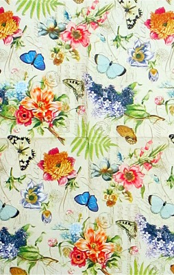 Butterflies 2 017