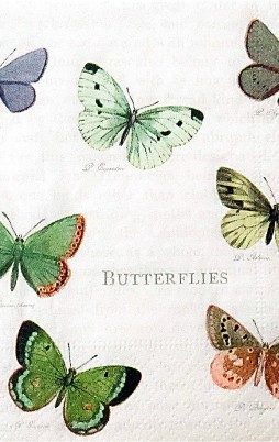 Butterflies 3016