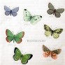 Butterflies 3016