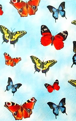 Butterflies 3021