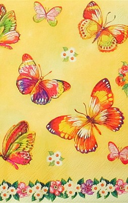 Butterflies 3022