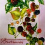 Flowers & Fruits 2001_1.00