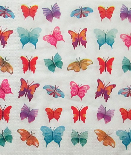 birds-butterflies-3041