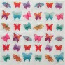 birds-butterflies-3041